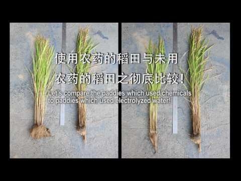 Embedded thumbnail for Enagic Rice
